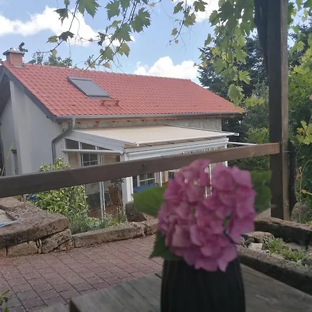 Weinstrassenblick * ブルルヴァイラー