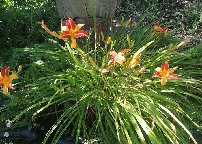 Weinstrassenblick 別荘